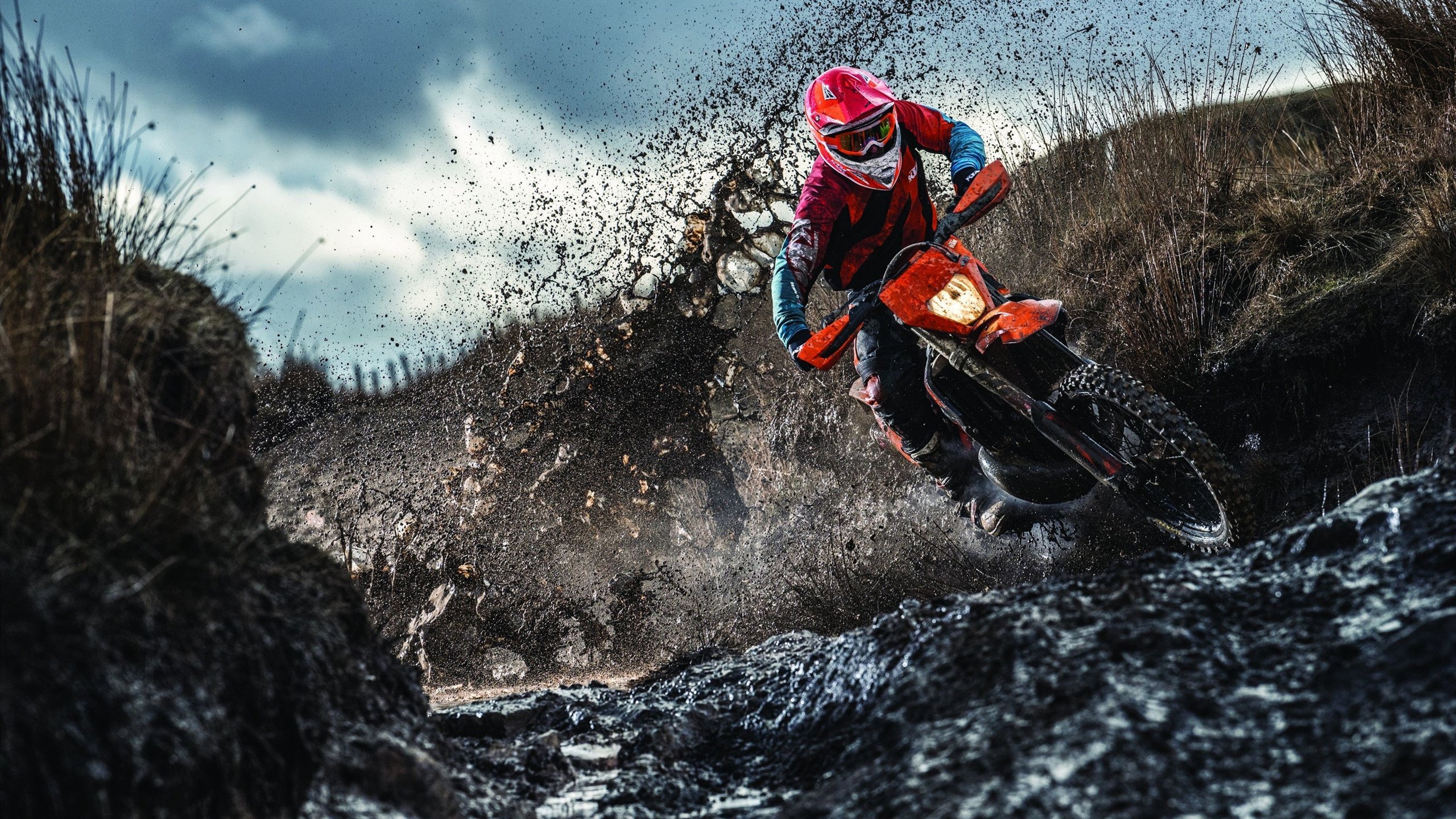 开云体育官方网站-钢铁与烈马的极限舞蹈，梅赛德斯险胜法拉利，新王诺里斯刷新单圈纪录